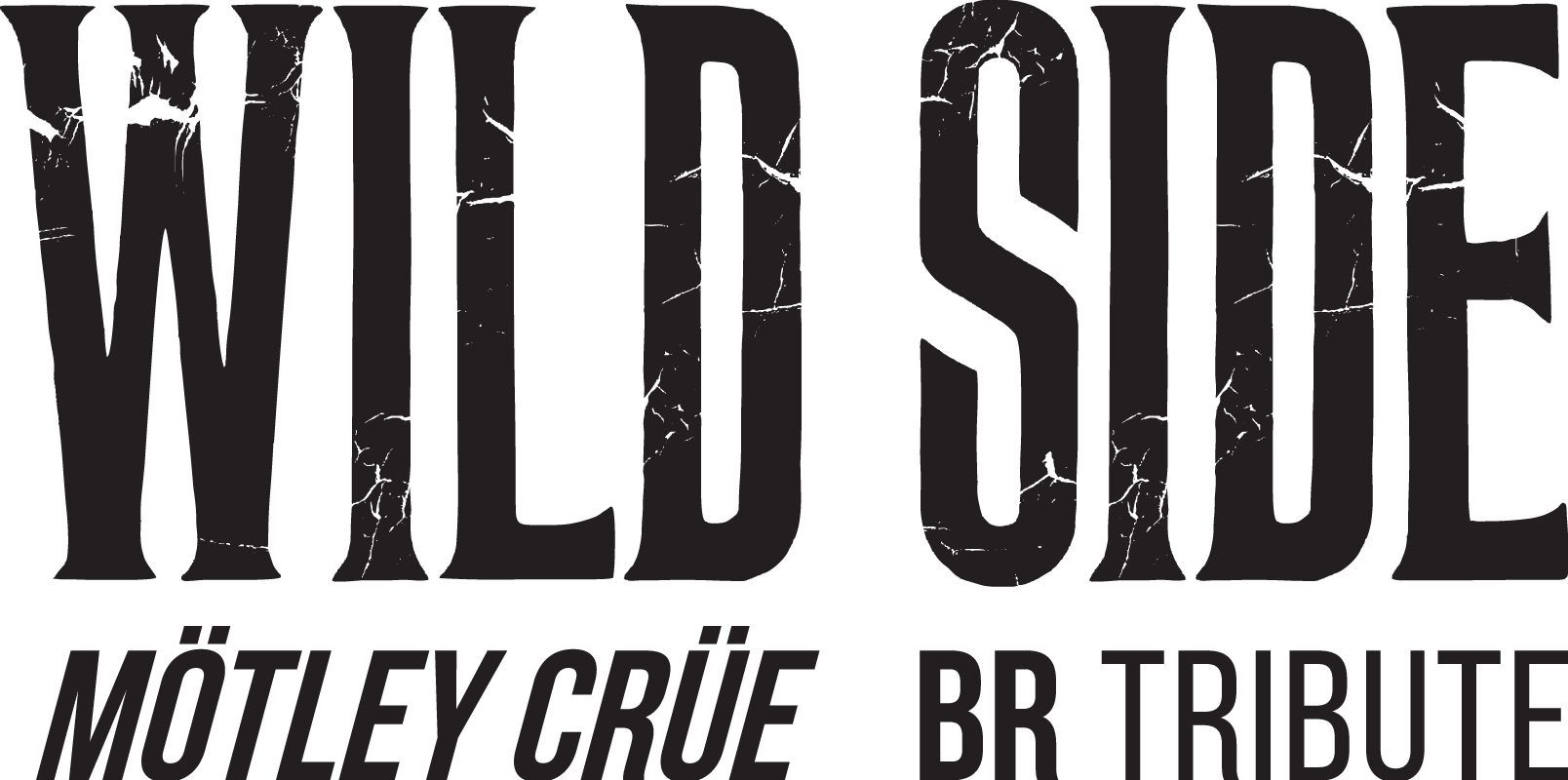 Logo banda Wild Side